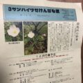 ３サンハイツせけんばな紙　第１３号発行